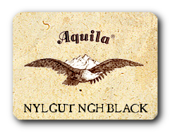 Aquila Nuevo Nylgut NGH 0,48 NEGRO