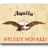 Aquila New Nylgut NGH 1.00 RED