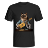Cat playing baroque guitar