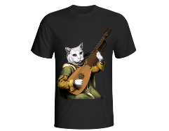 Cat playing german theorbo