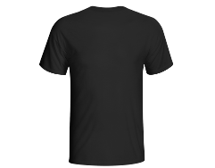 Gato tocando la guitarra barroca - Imagen 2