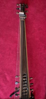 Double pegbox of Jaume Bosser theorbo in cedar veneered with Macassar ebony and boxwood stripes, with rosewood tuning pegs