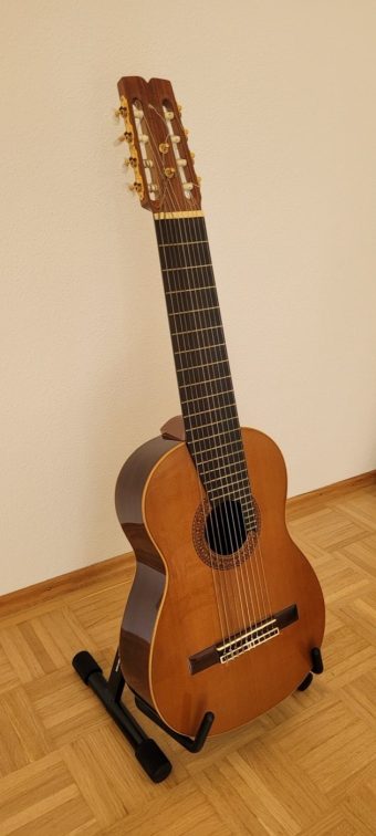 Three-quarter view of a ten-string guitar by Rodolfo Cucculelli on a stand, showing cedar top, ebony fingerboard, and rosewood headstock with Schaller gold machine heads