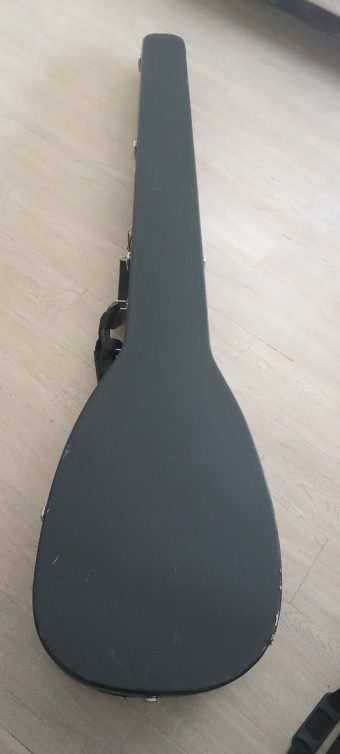 Closed Kingham hard case included with the Anders Ahlborg 14-course theorbo, shaped for the long theorbo neck