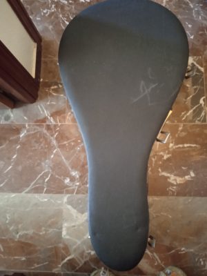 Closed black hard case of the oud for sale, with metal latches, included in the price