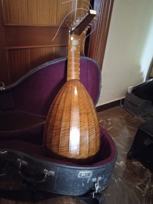Back of the Mathias Durvie renaissance lute, with highly figured ribs, neck and pegbox, standing in its case
