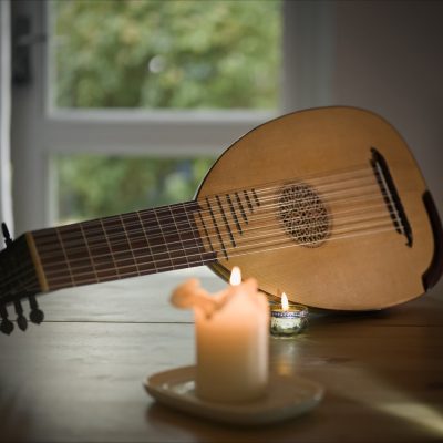 Front view of the 8-course renaissance lute by Hans Jordan with spruce top, carved rose and metal frets