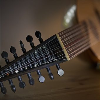 Pegbox of the 8-course renaissance lute by Hans Jordan with its tuners and strings in place