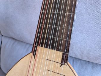 Indian rosewood fingerboard of the 7-course renaissance lute by Nicolas Petit
